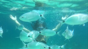 View from under the sea