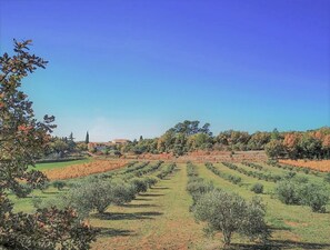 Jardines del alojamiento