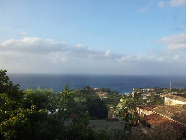 Vue sur la plage ou l’océan