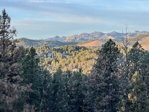 View from the deck with Mount Rushmore in the distance.
