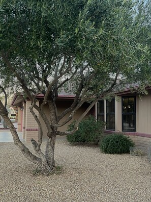 Shaded front of house