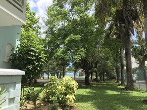 Our veranda sees the ocean peeking through the shady fir trees.