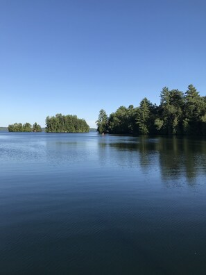 Järvi