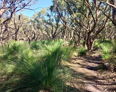 Great Ocean Walk Cottage