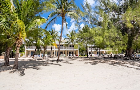 View from the Beach