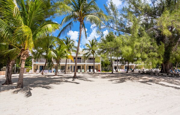 View from the Beach