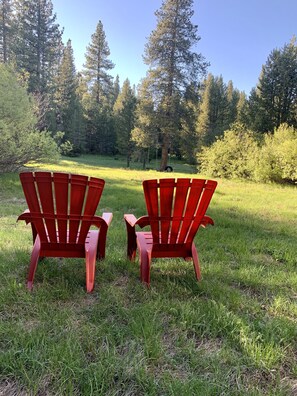 Backyard view 