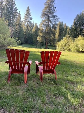 Backyard view