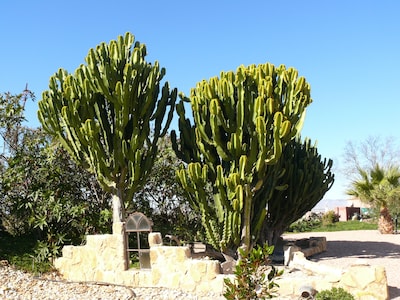 13 Personen Landhaus, Costa Blanca, privater Pool und Wifi