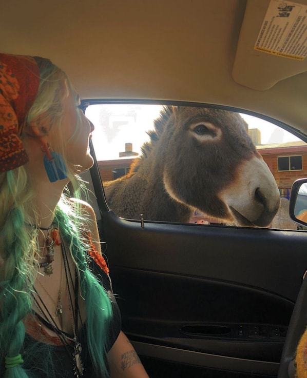 Miss Fiona greeting a visitor