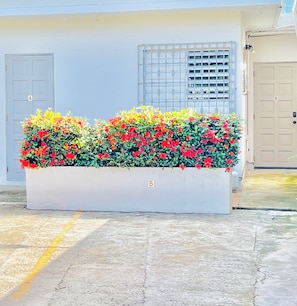 Parking Space just a few steps to the Apartment Door