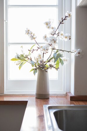 Detail of kitchen window with Almond blossoms