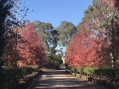 Yatahlia Manor Luxury B & B central between Adelaide, Barossa, Hills & Beach