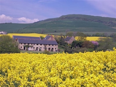 Delightful country cottage. Stunning views.  A few minutes walk to Seatown beach