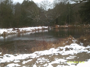 POND IN THE WINTER 