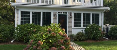 Hydrangeas at the end of the season in fall.