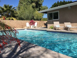 Private swimming pool with tanning shelf and deep end