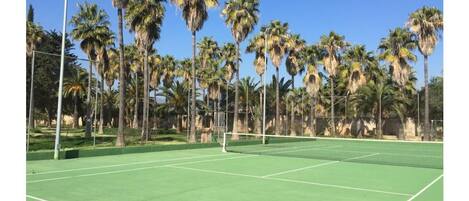 Cancha deportiva