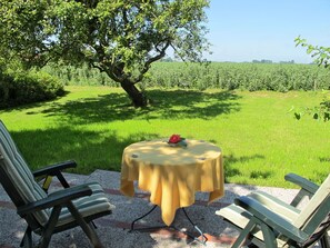 Eigentum, Tabelle, Baum, Natürliche Landschaft, Gras, Möbel, Hinterhof, Haus, Landschaft, Grundeigentum