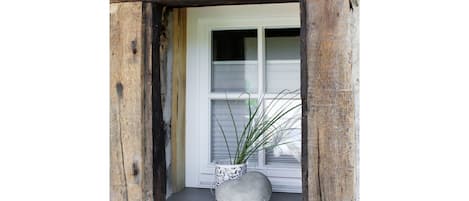 Plant, Window, Property, Flowerpot, Houseplant, Wood, Door, Rectangle, Building