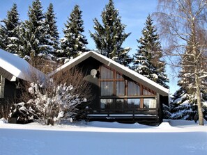 Plant, Sky, Snow, Building, Tree, Window, House, Larch, Cottage, Slope