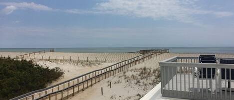 View from roof top deck