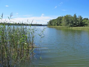 Natürliche Landschaft, Gewässer, Wasser, Vegetation, Natürlichen Umgebung, Natur, Naturschutzgebiet, Wasservorräte, Bank