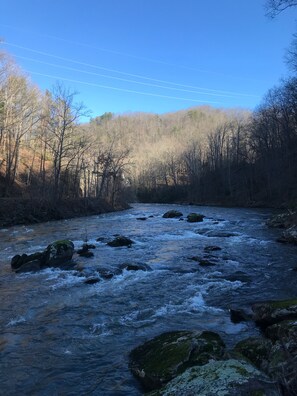 view from cabin