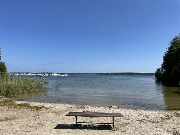 Water, Sky, Plant, Outdoor Bench, Cloud, Tree, Natural Landscape, Lake, Coastal And Oceanic Landforms