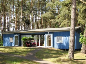 Plante, Bâtiment, Fenêtre, Porte, Arbre, Ombre, Lot Terre, Herbe, Chalet, Maison