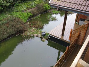 Wasser, Wasservorräte, Pflanze, Natur, Botanik, See, Vegetation, Natürliche Landschaft, Holz, Wasserweg