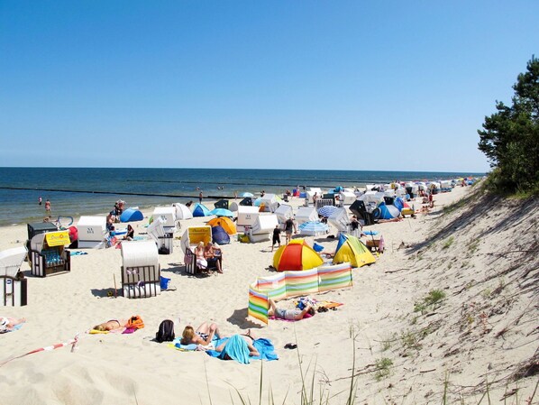 Sky, Water, Beach, Tree, Umbrella, Coastal And Oceanic Landforms, Leisure, Shade