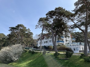 Pflanze, Himmel, Gebäude, Baum, Grundstueck, Fenster, Haus, Natürliche Landschaft, Landschaft, Gras