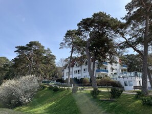 Plante, Ciel, Bâtiment, Arbre, Lot Terre, Fenêtre, Maison, Paysage Naturel, Paysage, Herbe