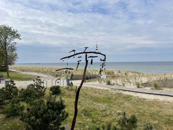 Nuage, Ciel, Plante, Paysage Naturel, Arbre, L'Eau, Lot Terre, Bois, Plaine, Horizon