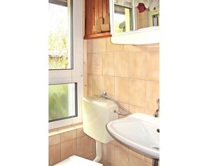 Tap, Plumbing Fixture, Sink, Property, Green, Plant, Bathroom Sink, Bathroom, Window, Building