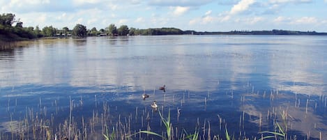 Himmel, Ejendom, Plante, Træ, Bygning, Land Lot, Hældning, Skygge, Asfalt, Træ