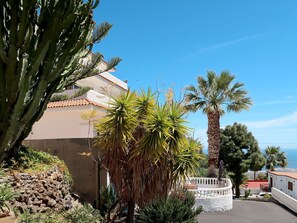 Sky, Plant, Plant Community, Building, Tree, Arecales, Vegetation, Neighbourhood, Terrestrial Plant, Shade