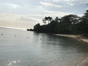 beach