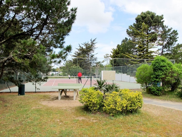 Property, Tree, Public Space, Botany, Park, Real Estate, Grass, Land Lot, House, Landscape