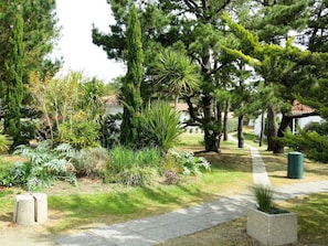 Tree, Vegetation, Cemetery, Botany, Grass, Grave, Garden, Plant, Grass Family, Woody Plant