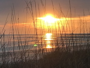 Sunrise on Harbor