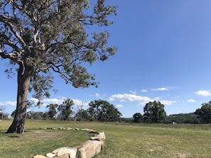 Gorgeous 360 degree views of the Granite Belt countryside