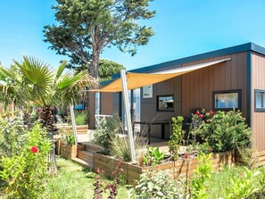 Plante, Ciel, Fleur, Propriété, Bâtiment, Arbre, Lot Terre, Fenêtre, Maison