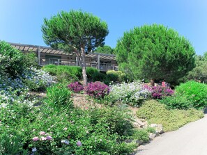 Plante, Fleur, Ciel, Communauté Des Plantes, Vert, Arbre, Paysage Naturel, Lot Terre, Herbe, Suppression Des Plantes Ligneuses