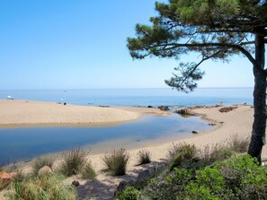 Gewässer, Küste, Strand, Sand, Ufer, Meer, Vegetation, Natürlichen Umgebung, Himmel, Baum