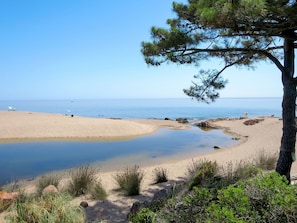 Body Of Water, Coast, Beach, Sand, Shore, Sea, Vegetation, Natural Environment, Sky, Tree