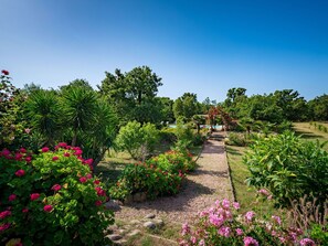 Flower, Sky, Plant, Plant Community, Natural Landscape, Tree, Grass, Landscape, Woody Plant, Shrub
