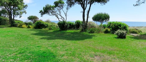 Wiese, Grün, Natürliche Landschaft, Vegetation, Gras, Grundstueck, Eigentum, Baum, Rasen, Natürlichen Umgebung