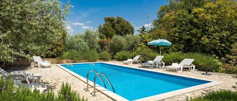 Water, Plant, Swimming Pool, Sky, Azure, Tree, Botany, Shade, Rectangle, Outdoor Furniture